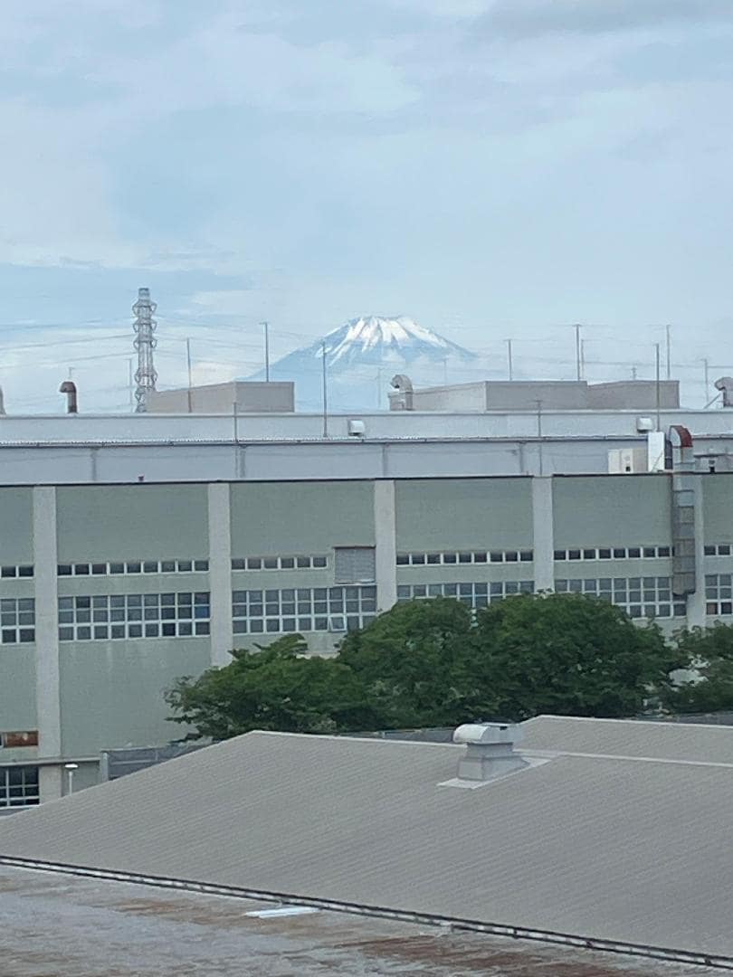 IMG_5697.jpeg
