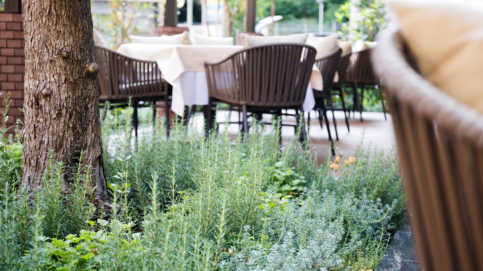 & lt; Restaurant & gt; Tanto Tanto The Gardens