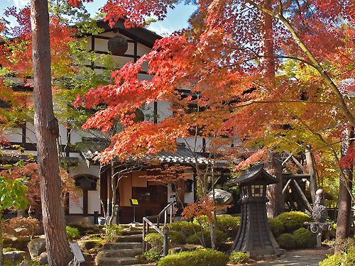 ◎ 紅葉入口