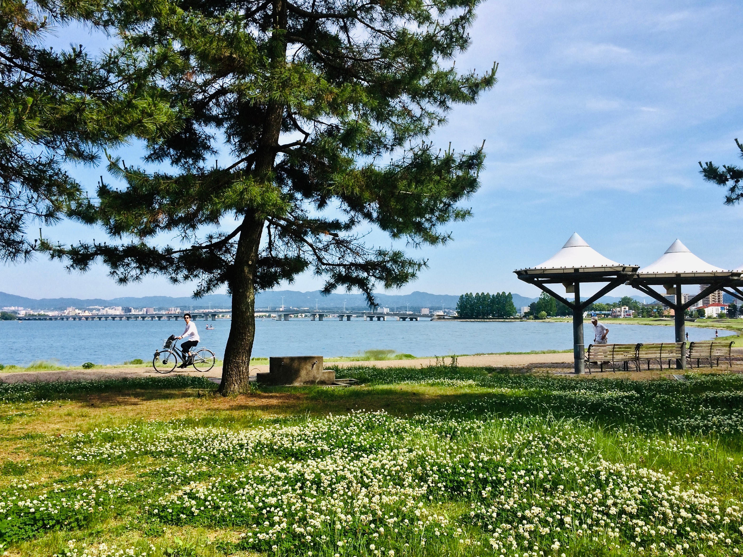 Otsu Lakeside Nagisa Park Yumihama - Sunny Scenery (Lakeside)
