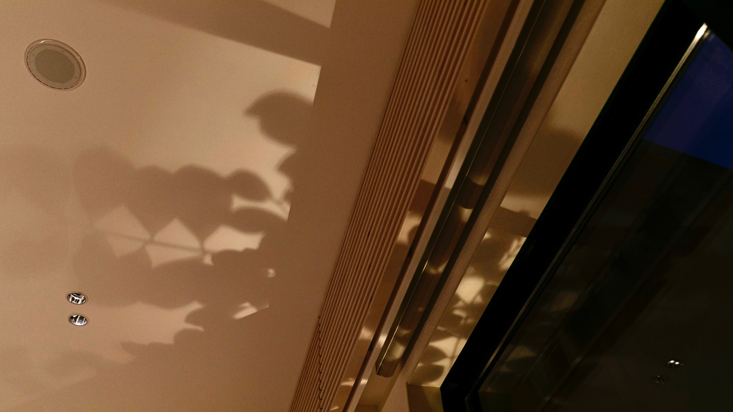 ■ Hakomori-One page at night- ■ Hakomori reflected on the ceiling. A moment of silence that sharpens your five senses and a time that slowly flows to your luxury.