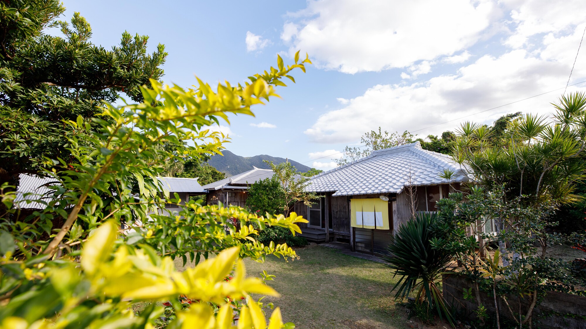 ดอกไม้ตามฤดูกาลบานสะพรั่งที่ “Coral Stone Hut Inn”
