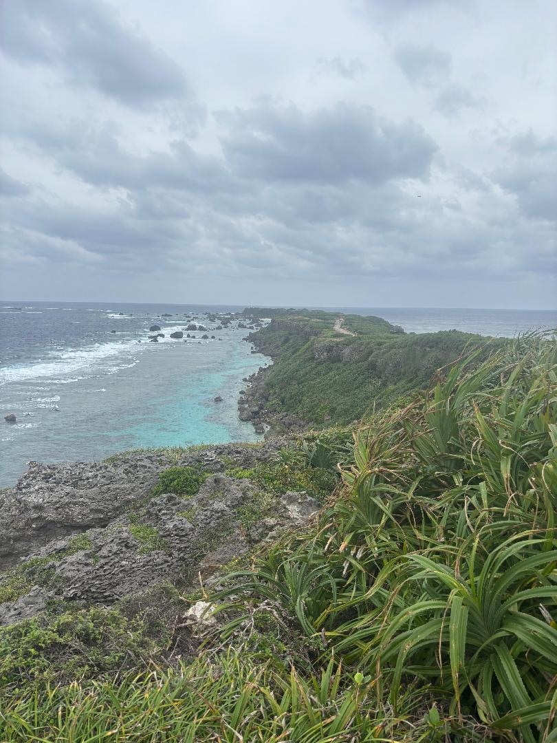 写真 2025-11-26 14 03 35.jpg