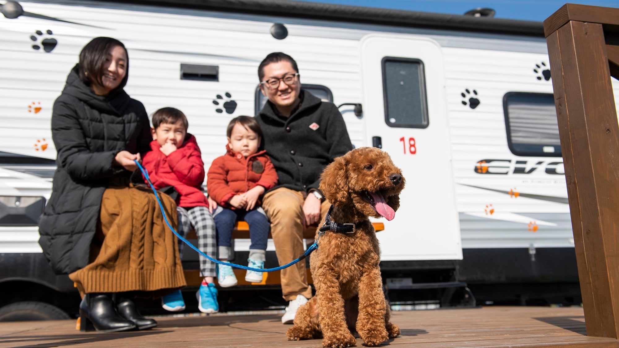 Enjoy the outdoors with your dog. Of course, you can bring your dog inside the room too.
