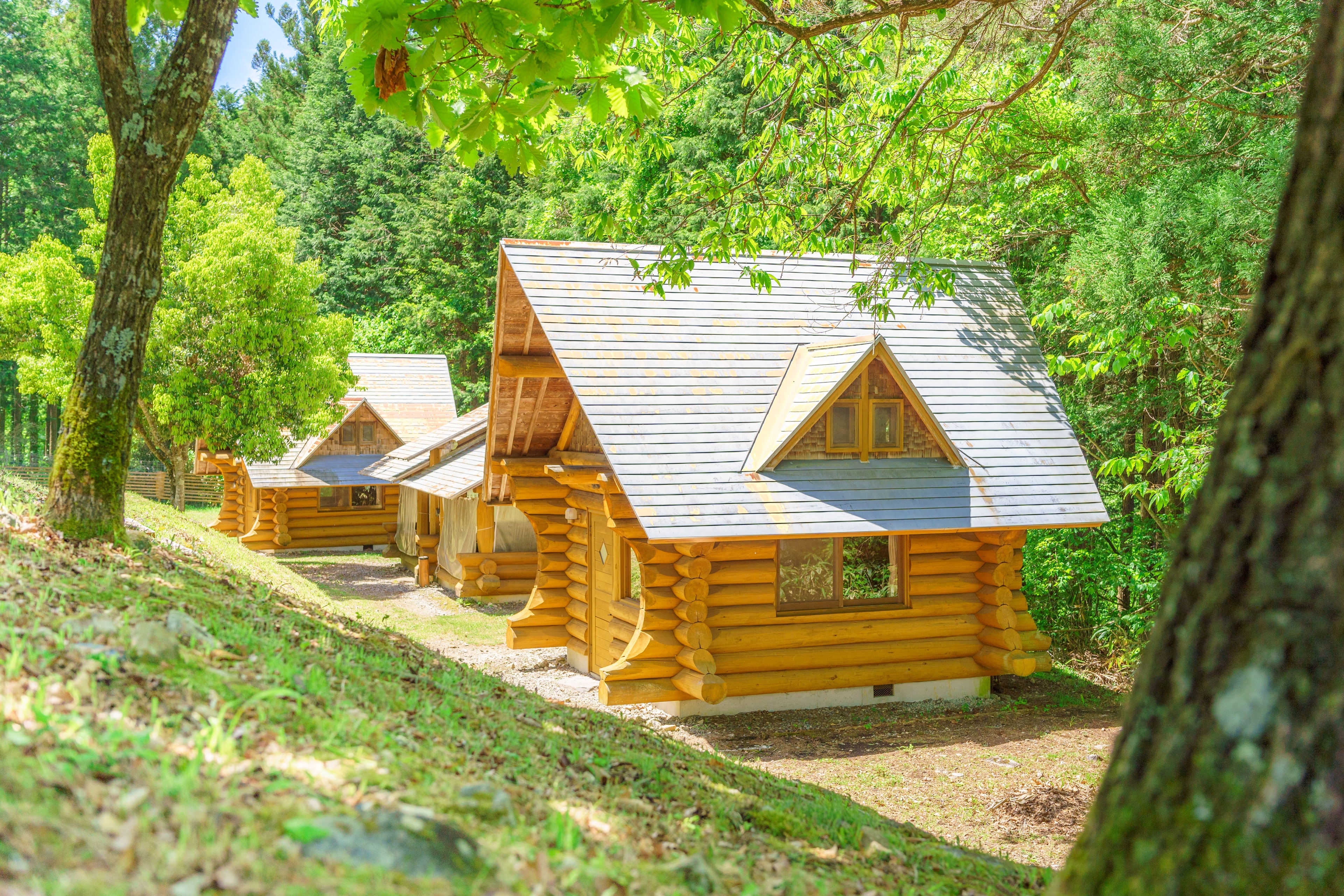 Kabin kayu untuk 6 orang