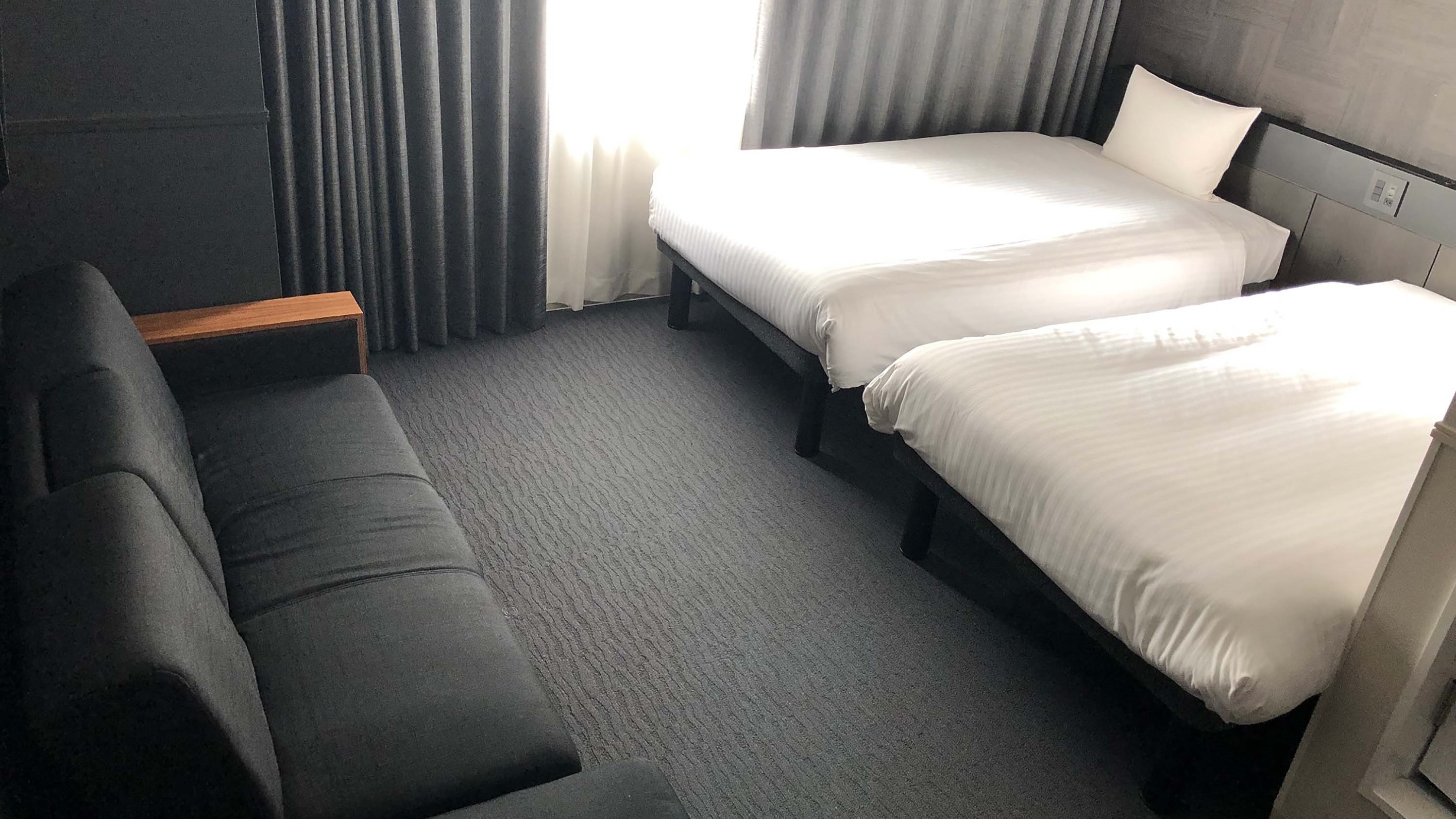 Superior Twin Room [Bed width 110cm, sofa bed 90cm]