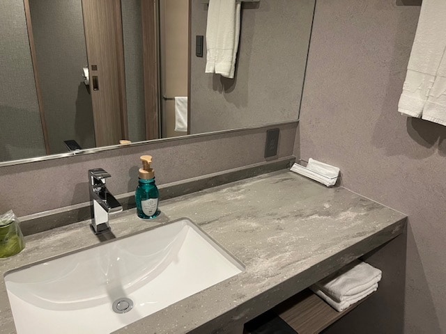 Wash basin (Deluxe room)