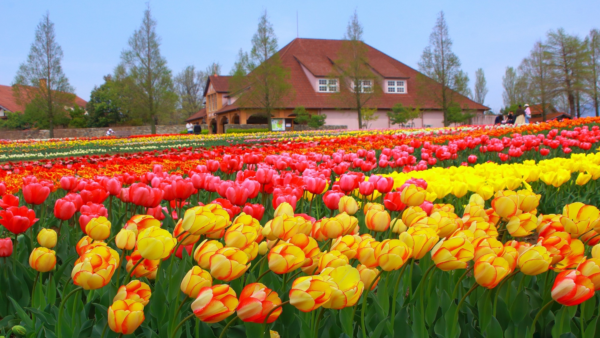 ■ Blume Hill ■ 16 menit dengan mobil (Perusahaan Kepentingan Umum) Biro Pengunjung Biwako