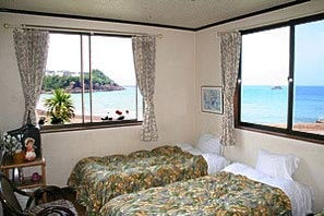 Western-style room