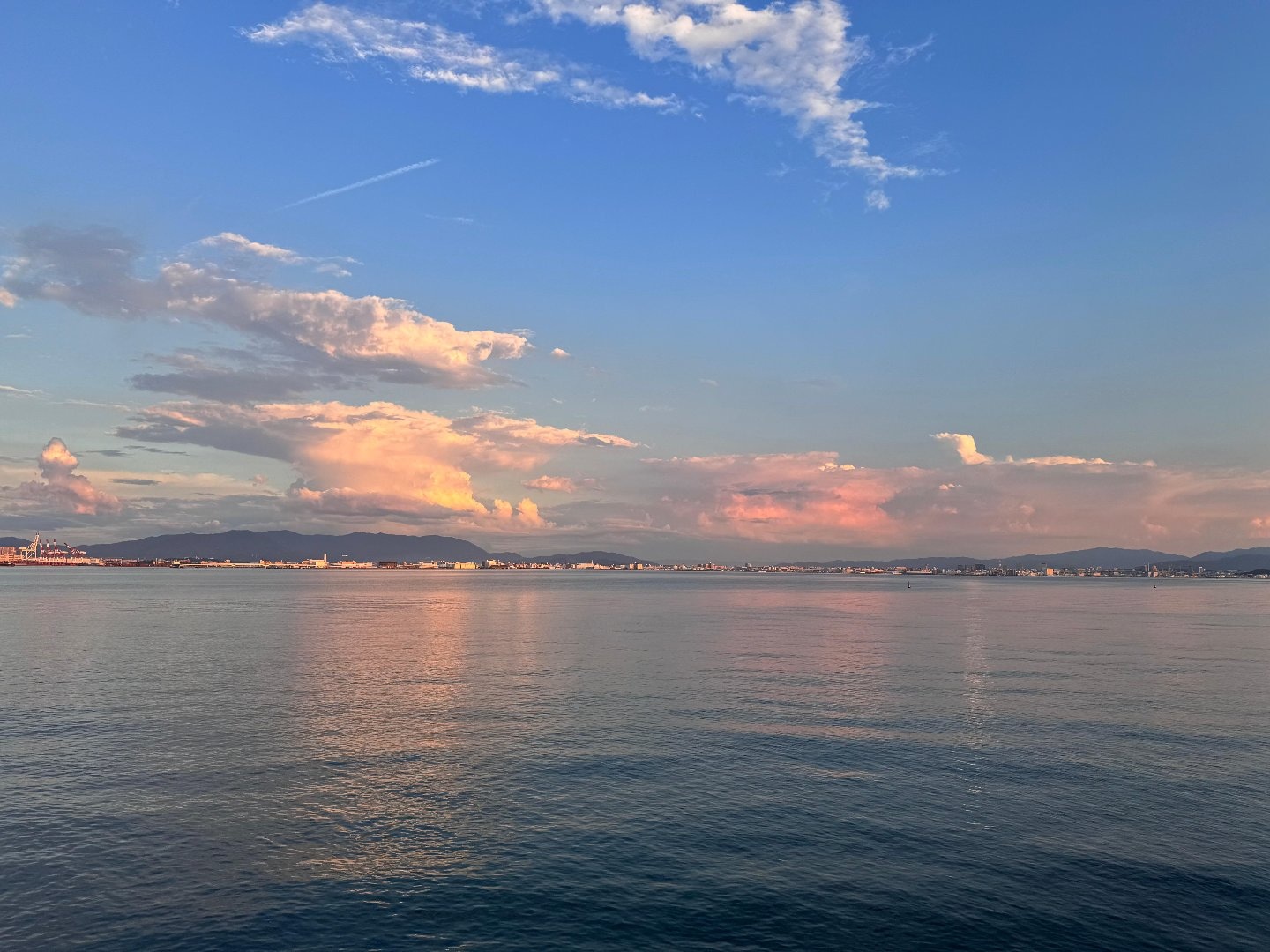 IMG_6167.jpeg