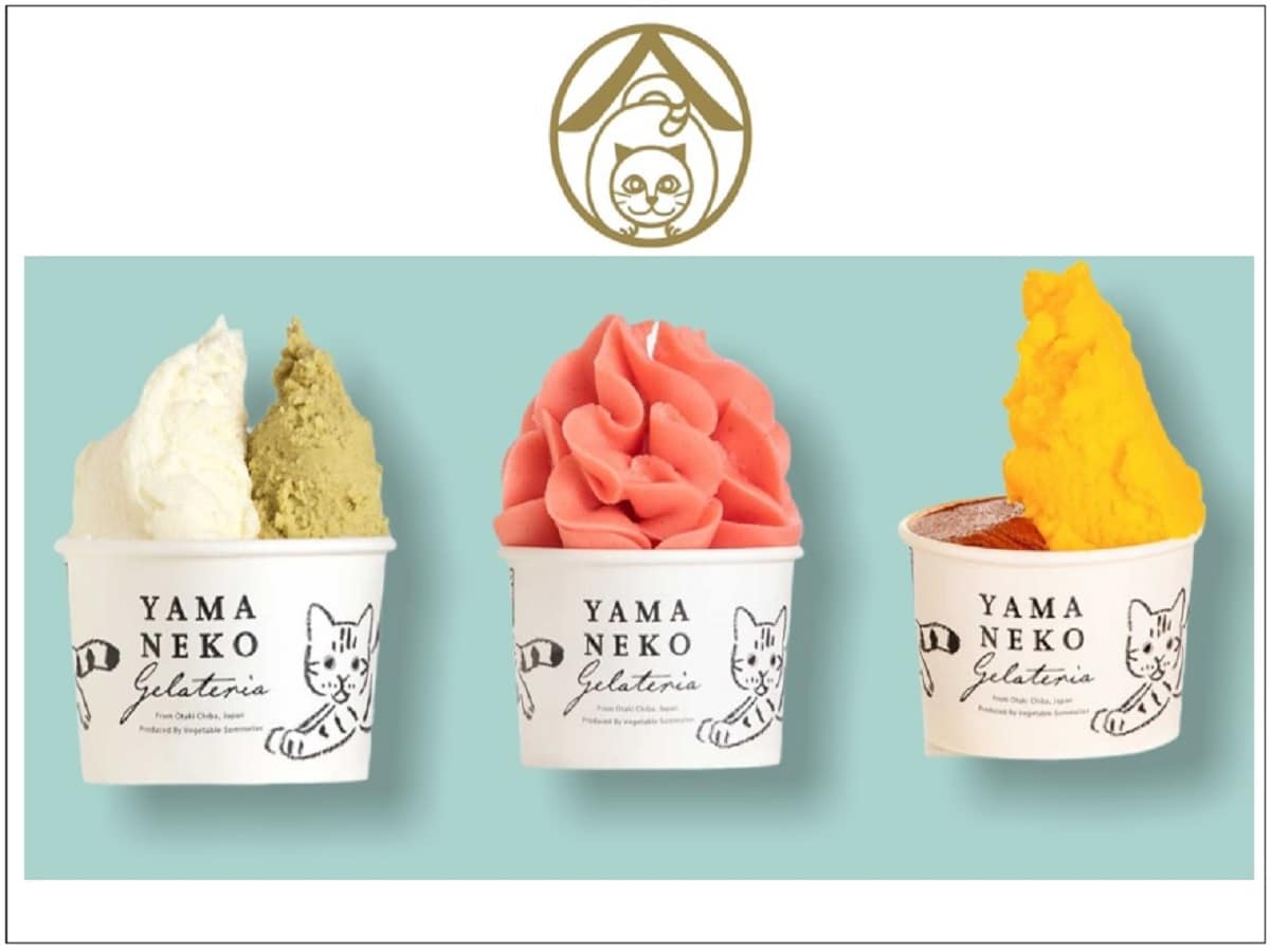 We will give you a free cup from Yamaneko Gelateria, a gelato shop in Yoro Valley.