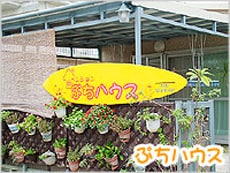 外观图