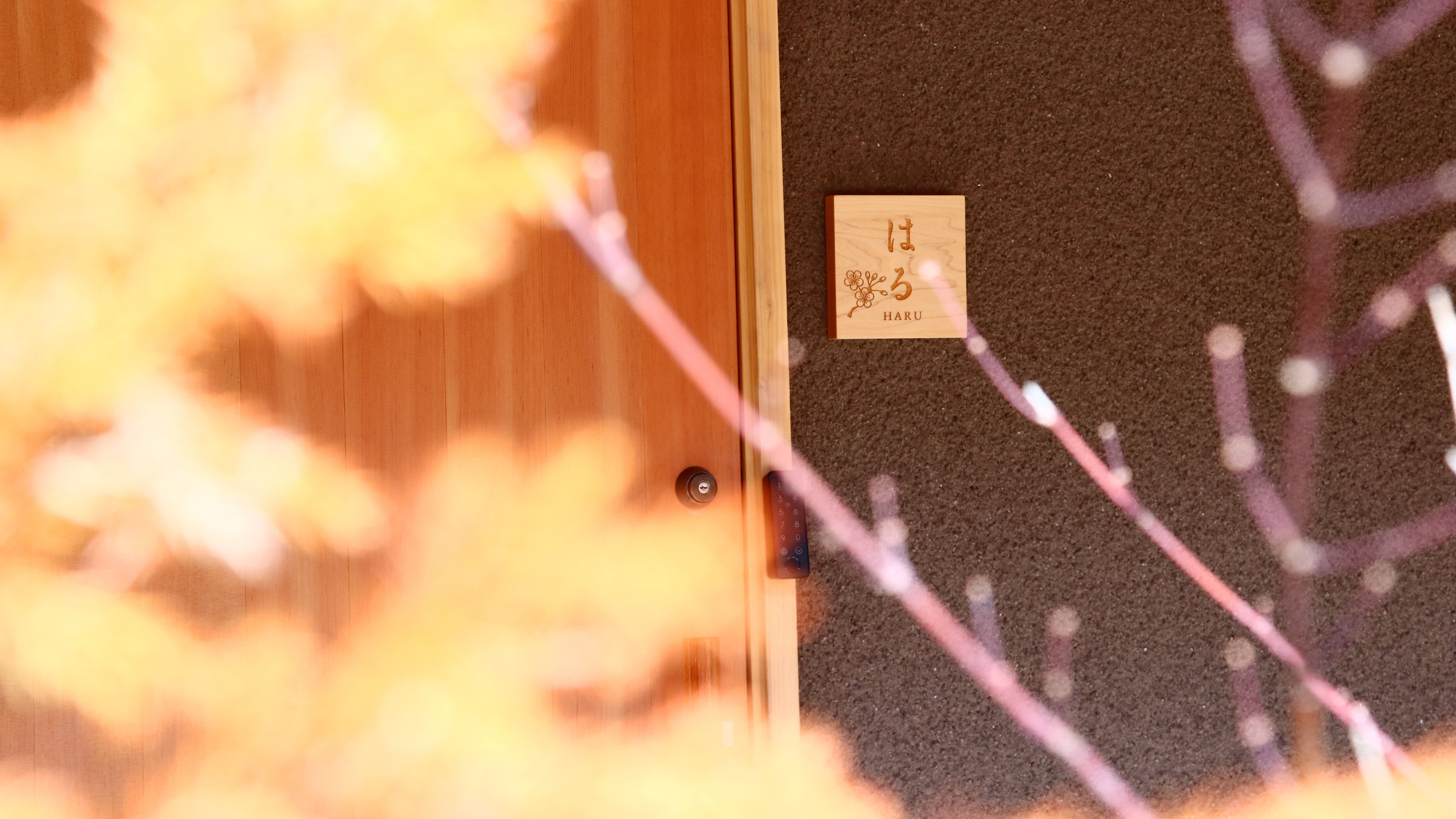 Guest Room -Haru- ■A facility where you can enjoy the changing of the seasons
