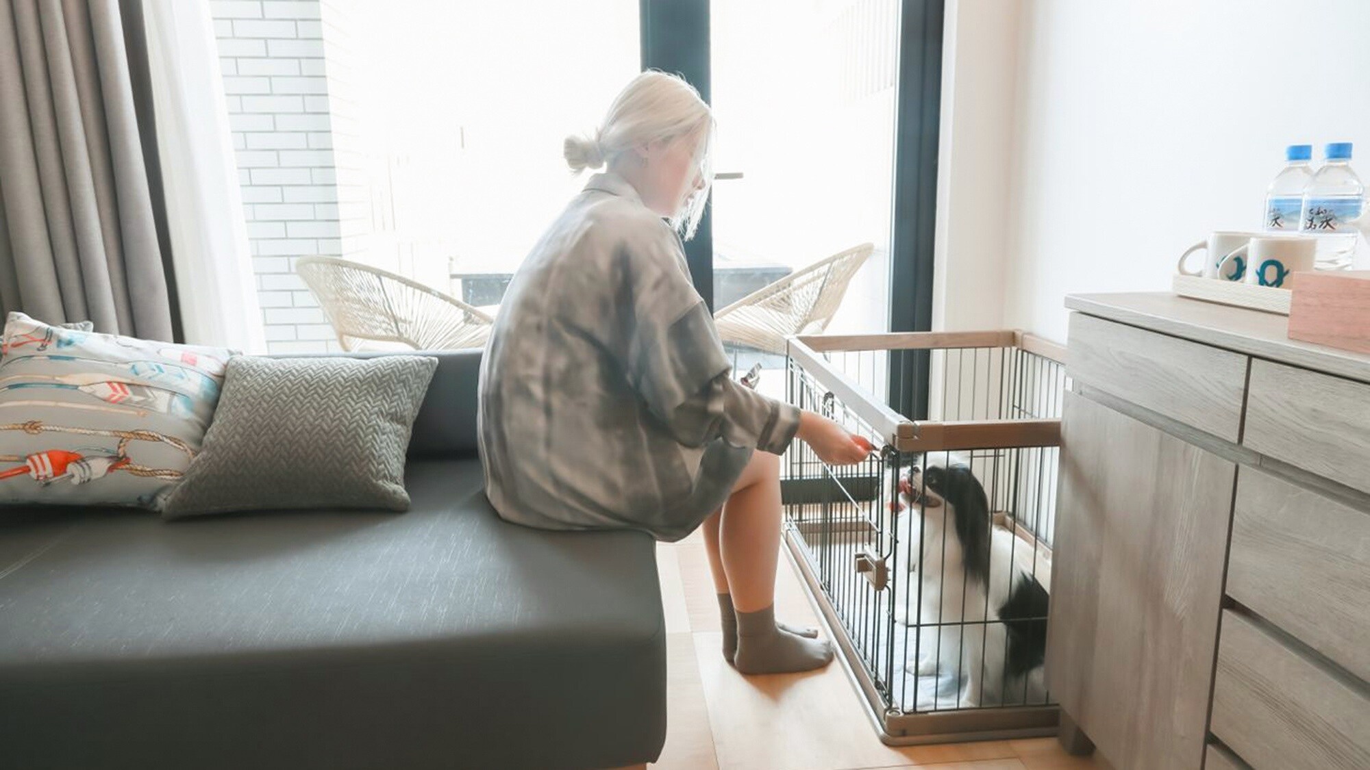 ・[Pets allowed Garden Twin & Sofa/104] Your dog will be delighted to have their owner nearby♪