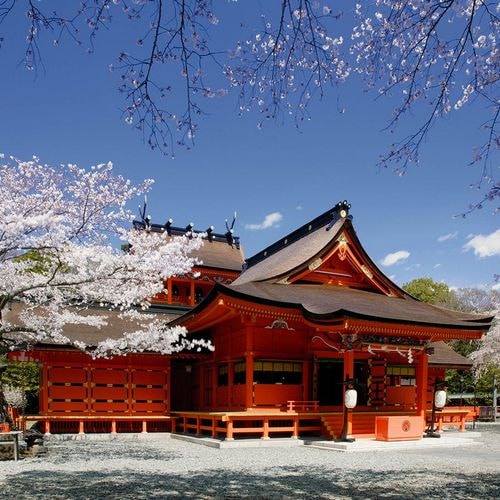 富士山本宮淺間神社的春天