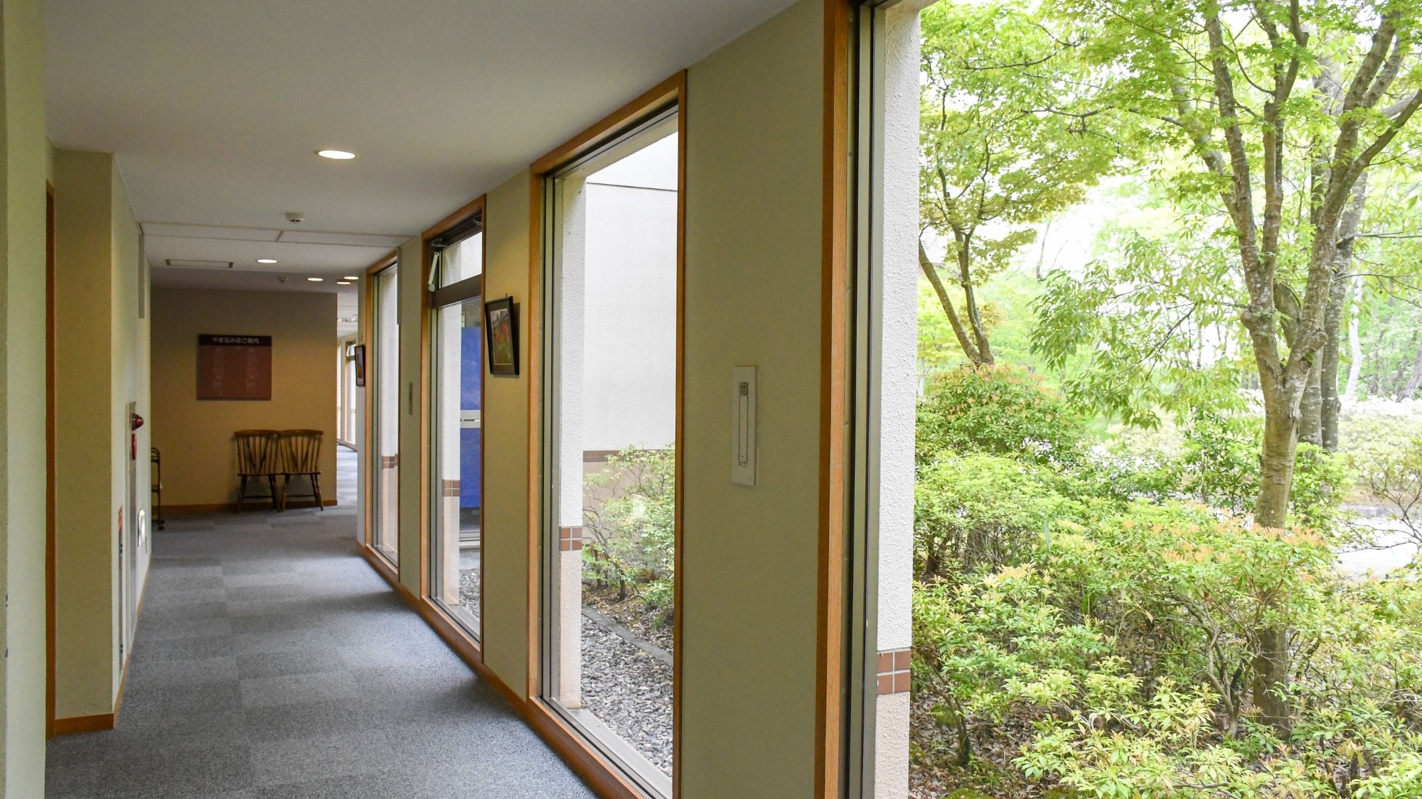[Accommodation building (corridor)] Sunlight filters through the trees into the corridor.
