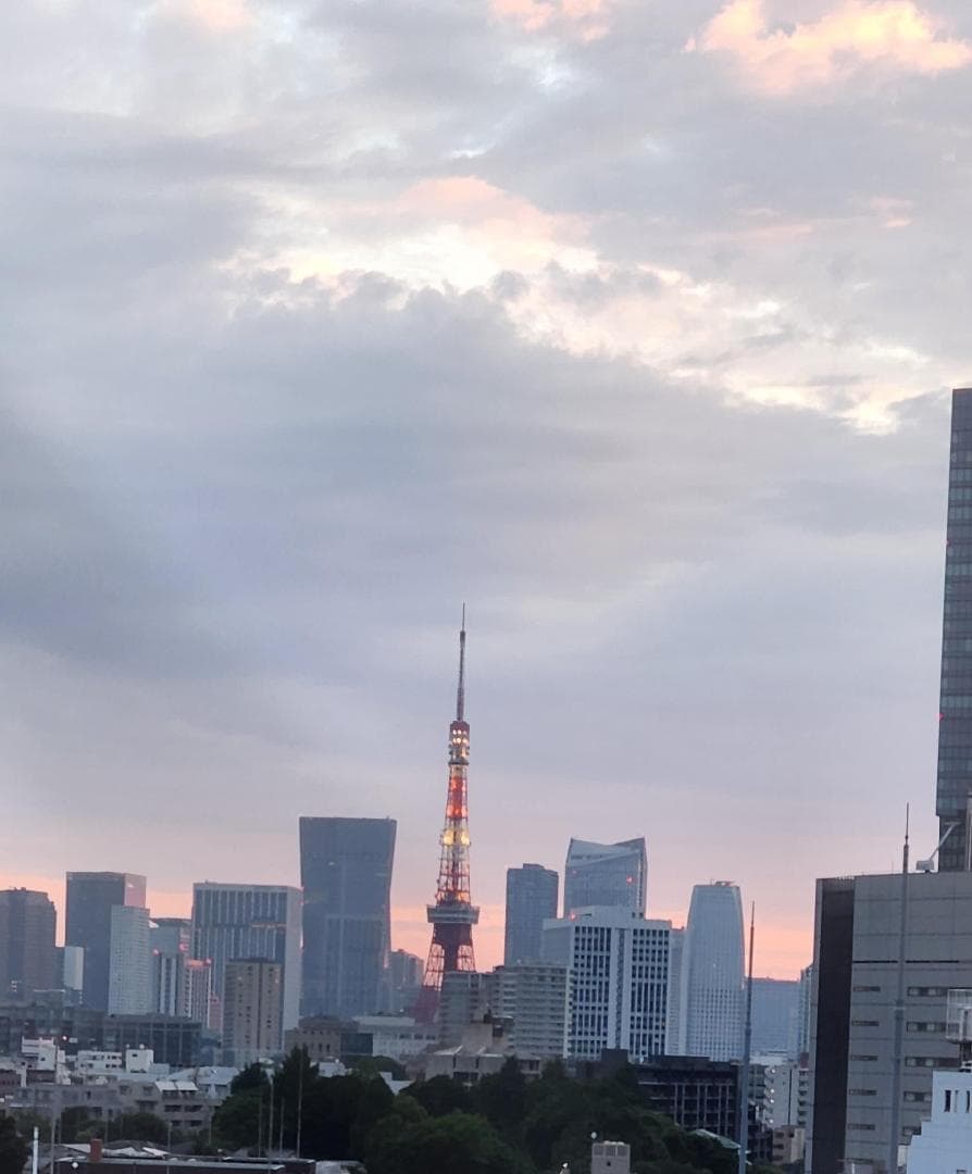 20260514_044231.jpg