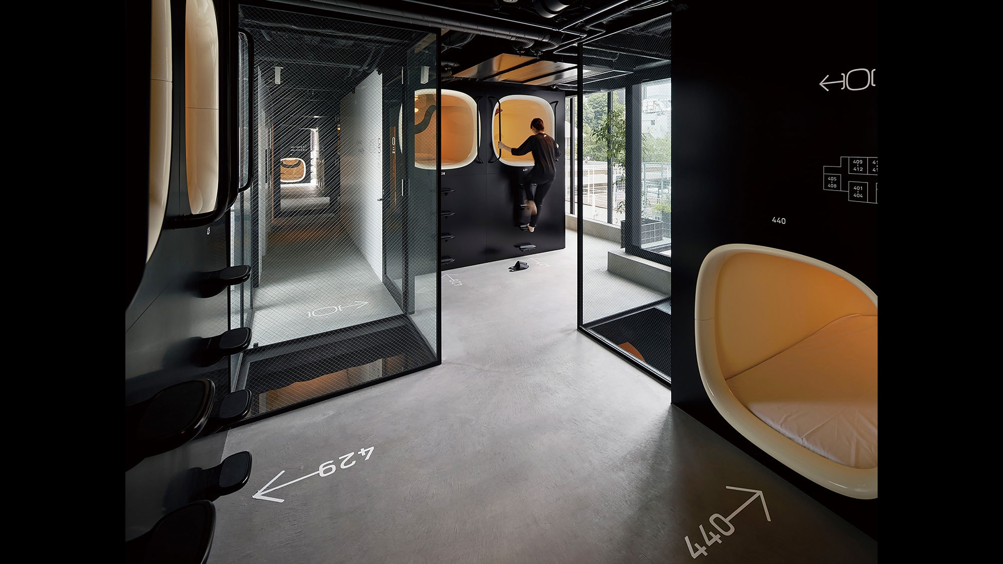 Capsule area