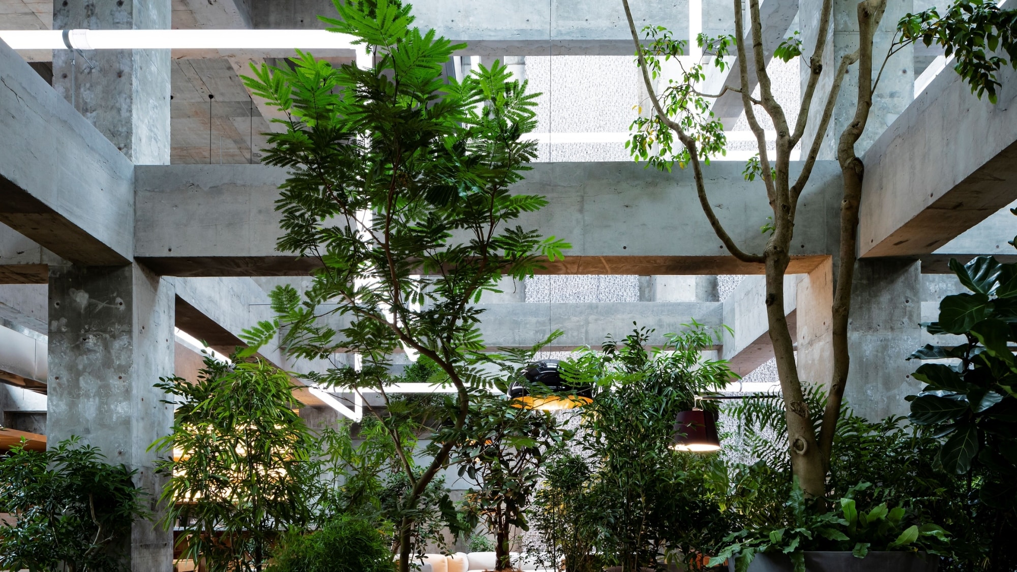 [Architecture] Enjoy the extraordinary space created by architect Sou Fujimoto