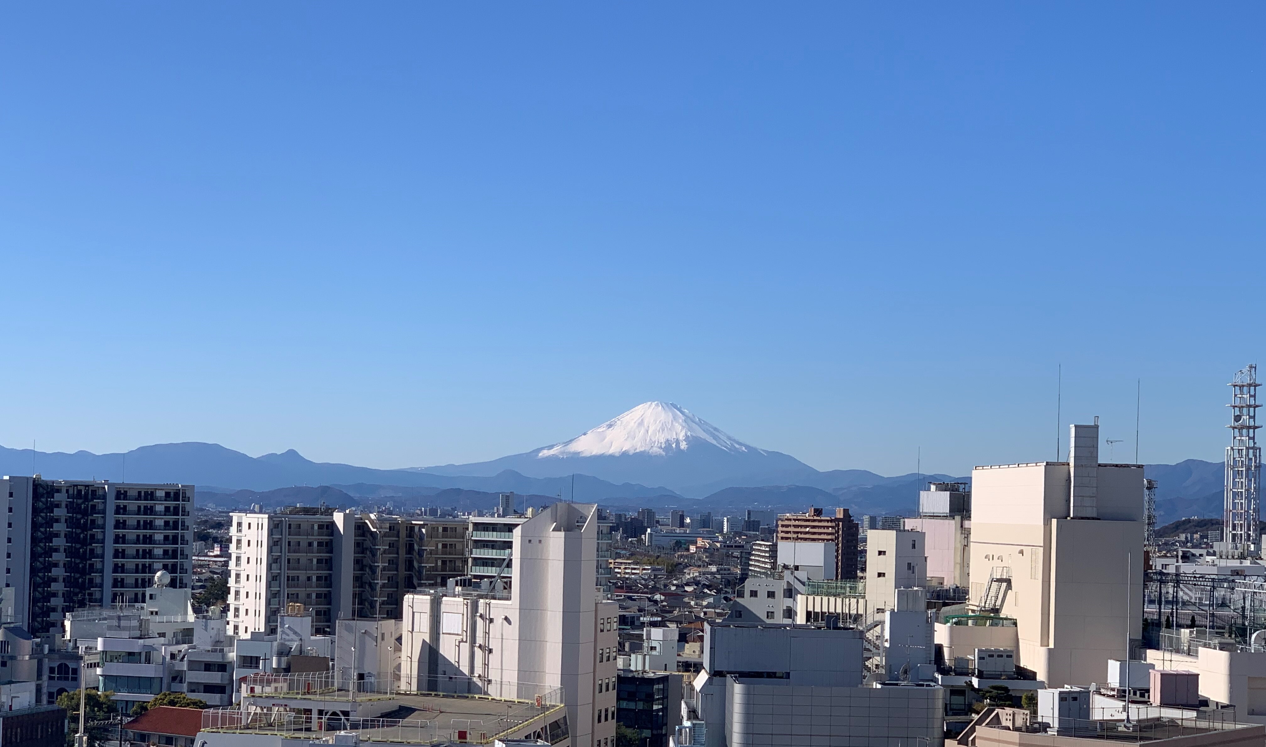 View from the high floor room