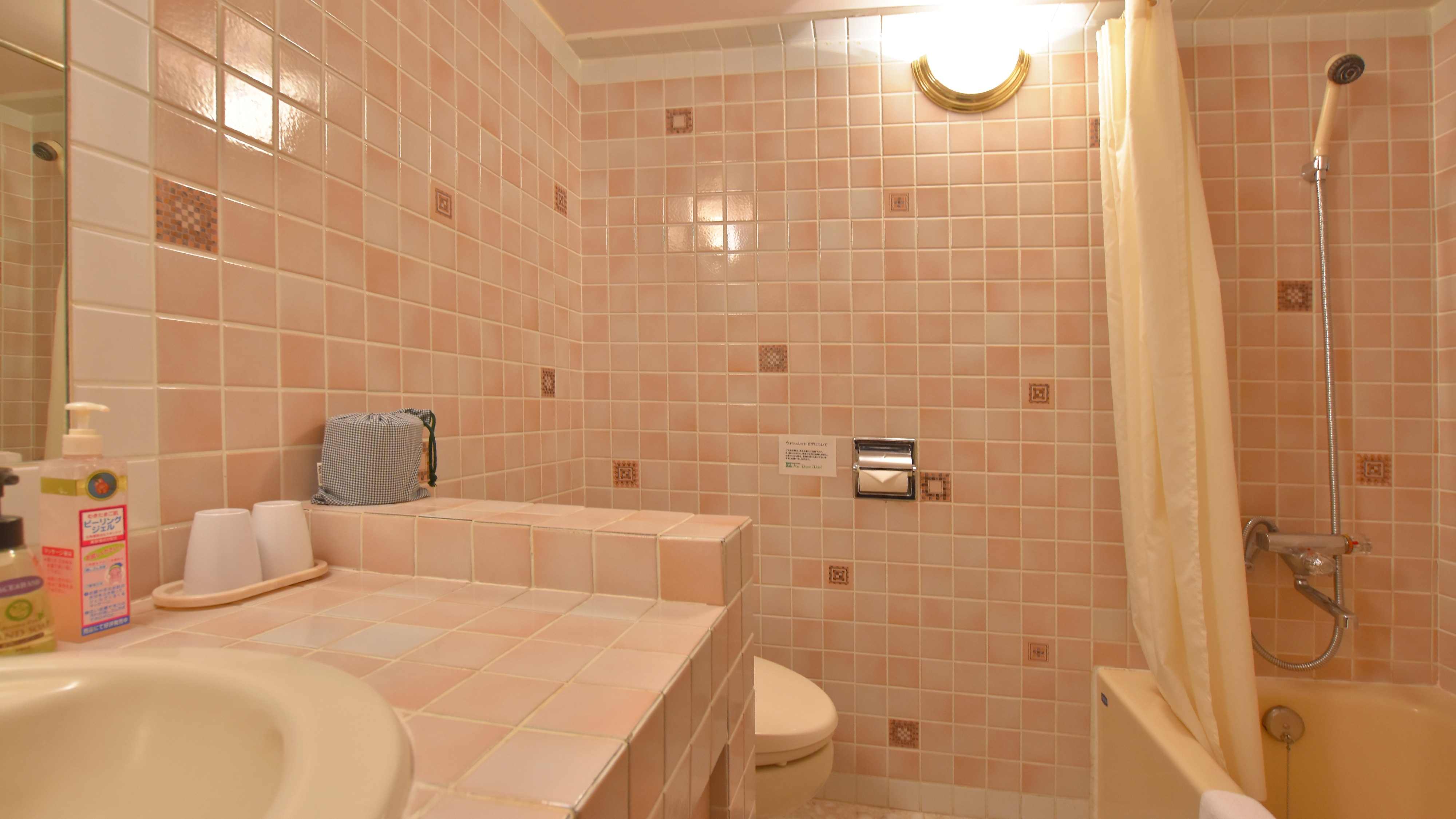 Room bathroom