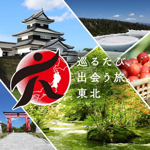 Tohoku DSCP21