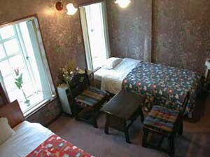Western-style twin room