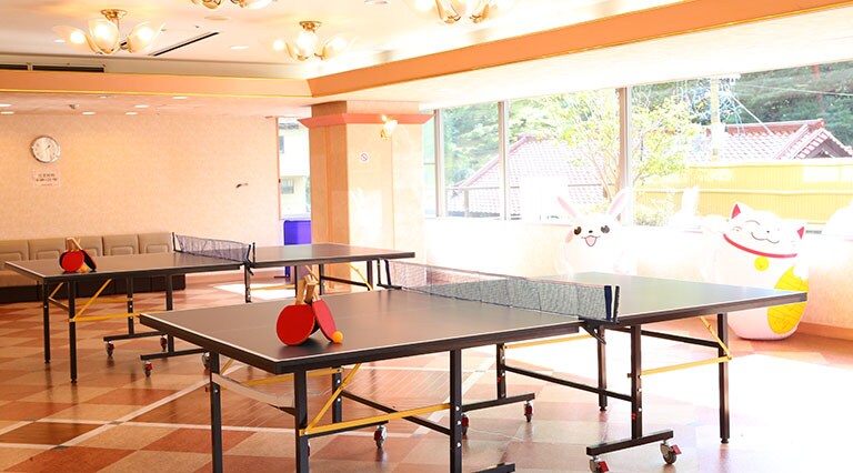 Customization Facility: Table Tennis Corner