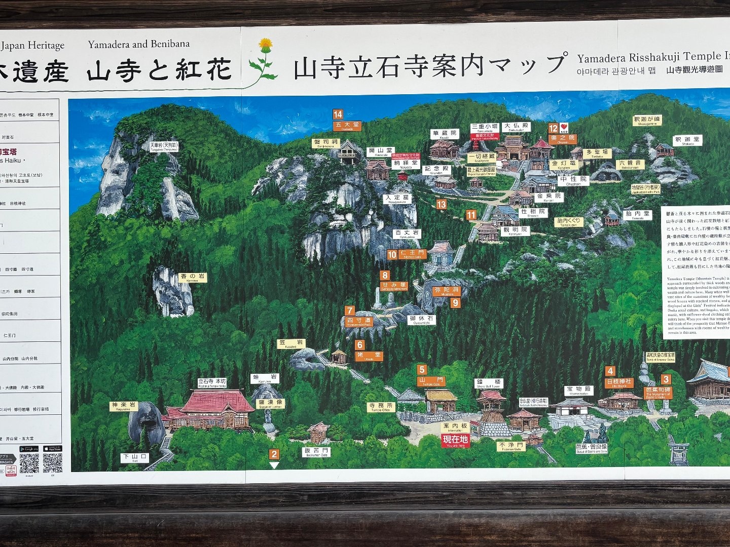 907D7657-B380-4AEA-B635-956D264094BB.jpeg
