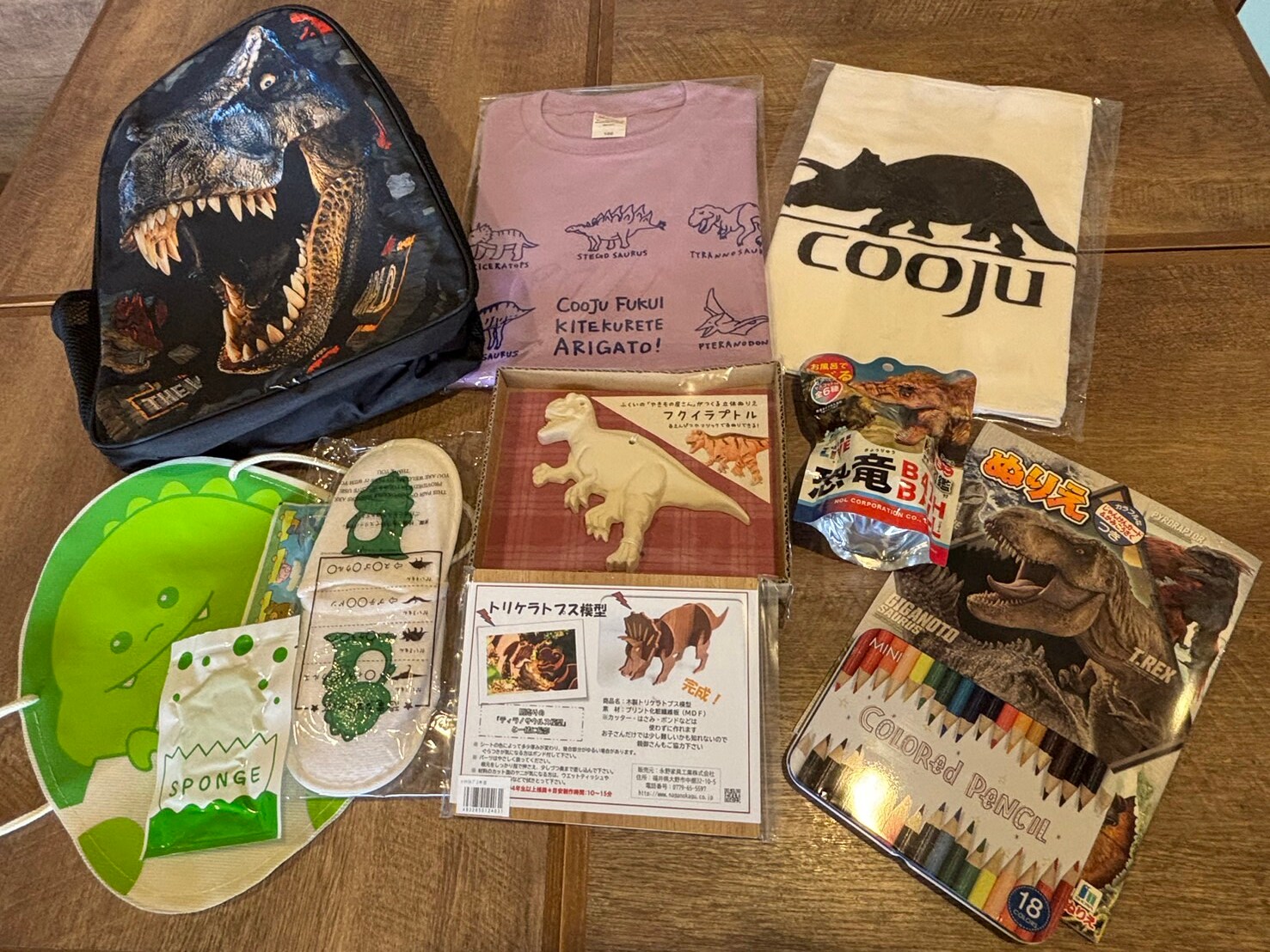 [Dinosaur Room] Give your child a special gift!