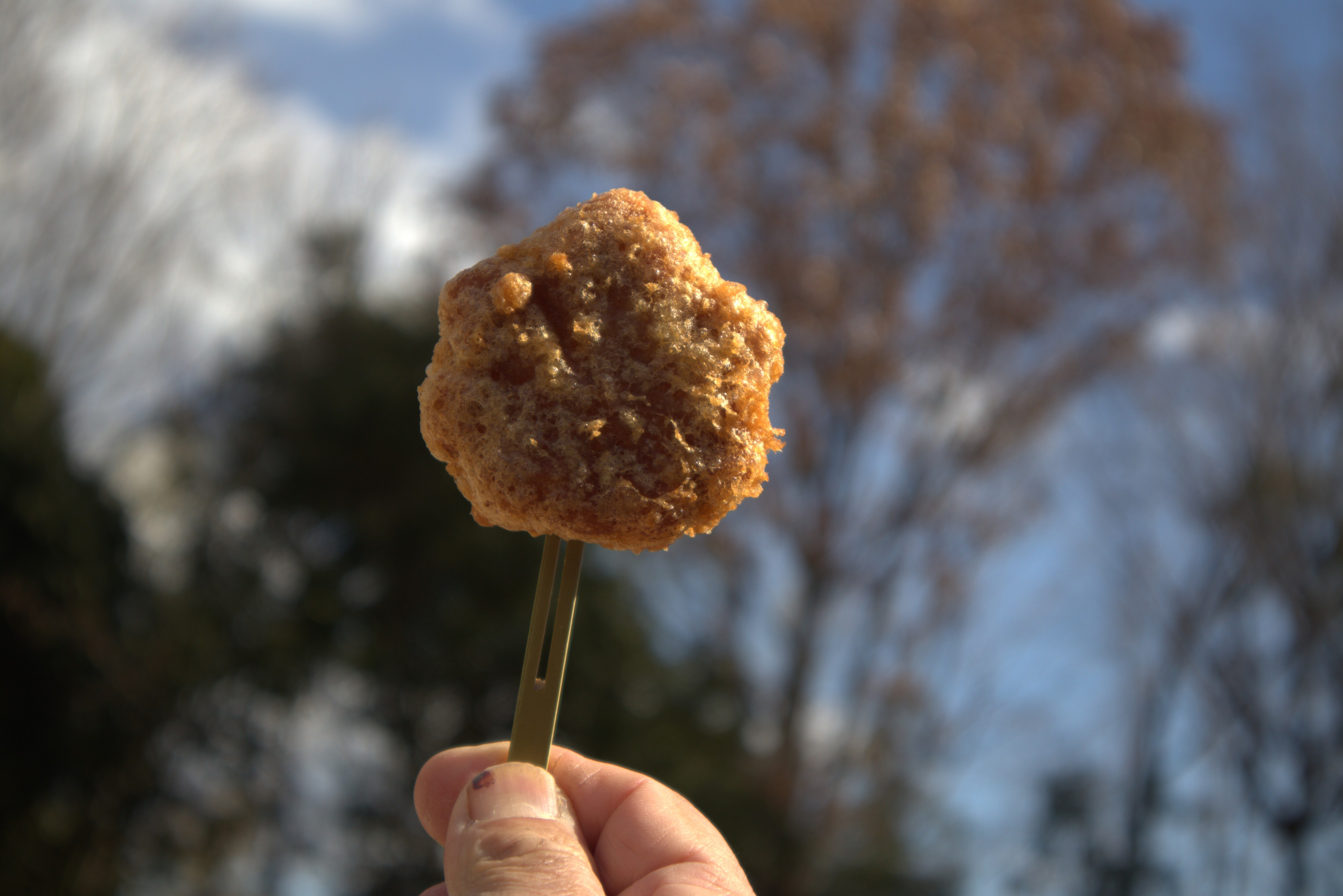 Roti daun maple goreng