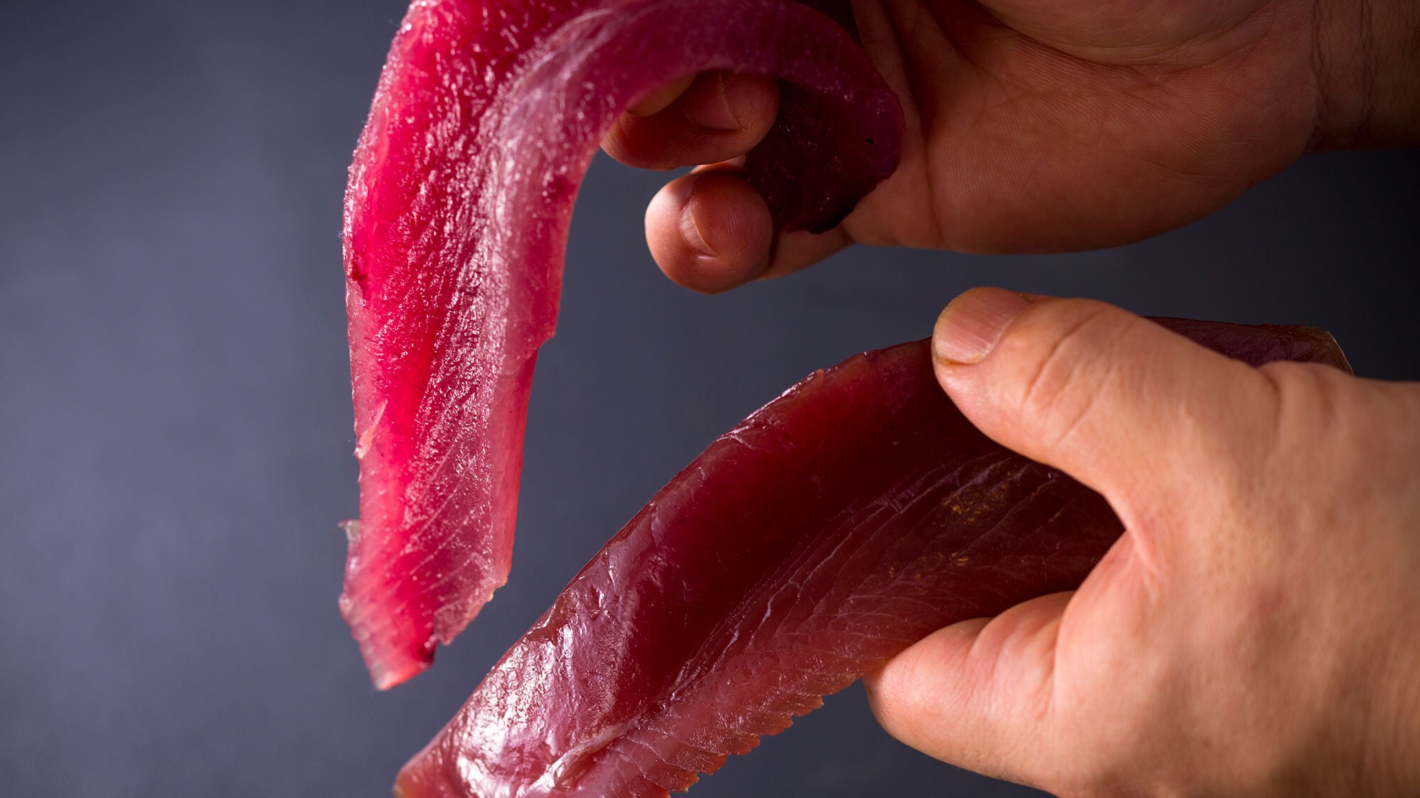 Bonito legendaris, Mochi-katsuo, ditampilkan di TV! (Belakang) Lebih lembut dari bonito biasa (depan), dengan tekstur kenyal