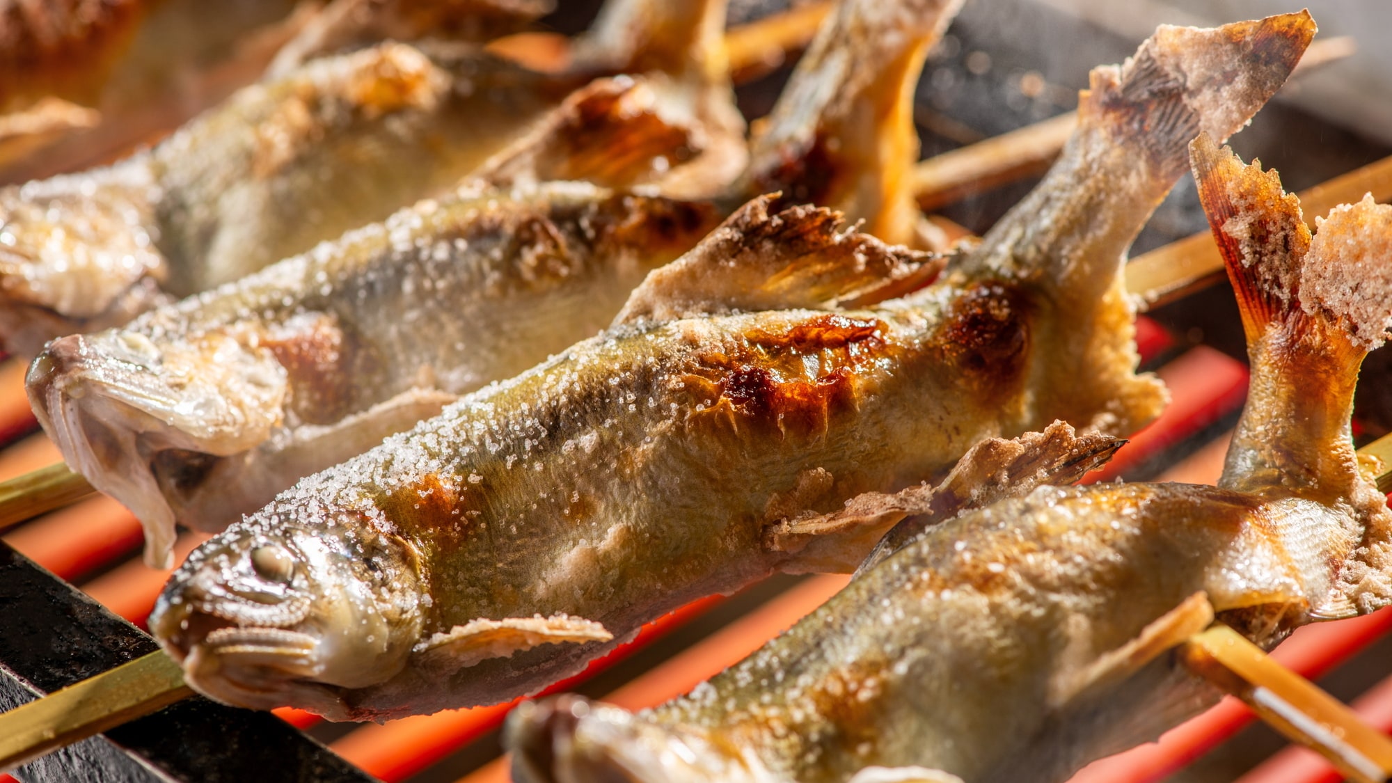 [Bữa tối] Bếp trực tiếp: Cá sông theo mùa nướng muối. Thịt cá săn chắc khi vừa nướng xong.