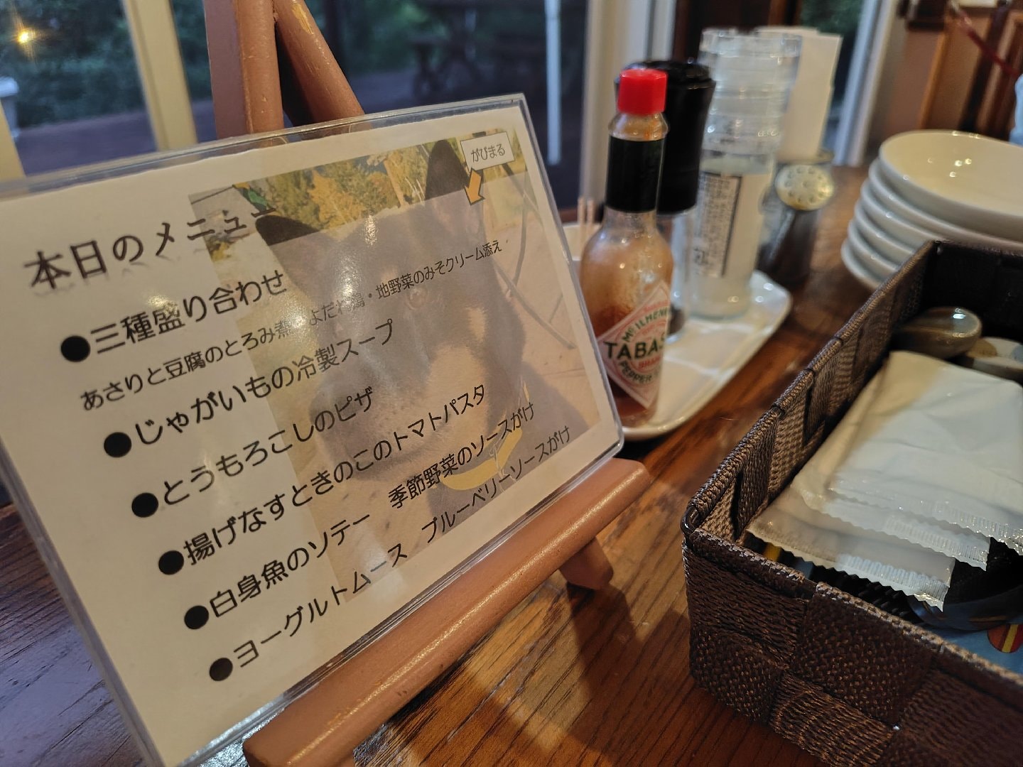 1000014800.jpg
