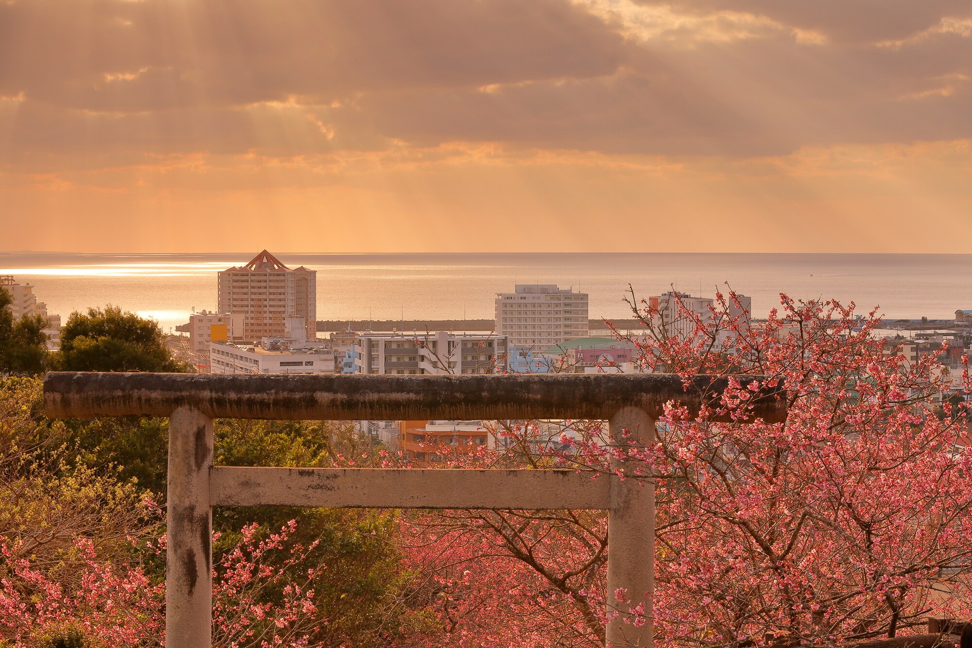 Nagojo Park (Angel Stairs)