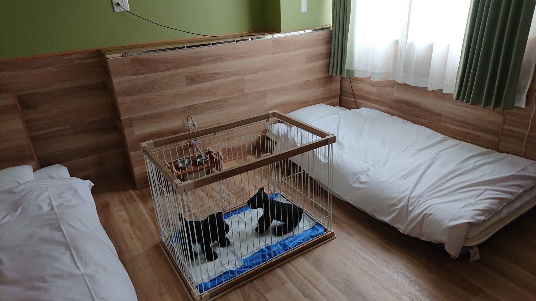 Center of pet gauge (taken from the left side)