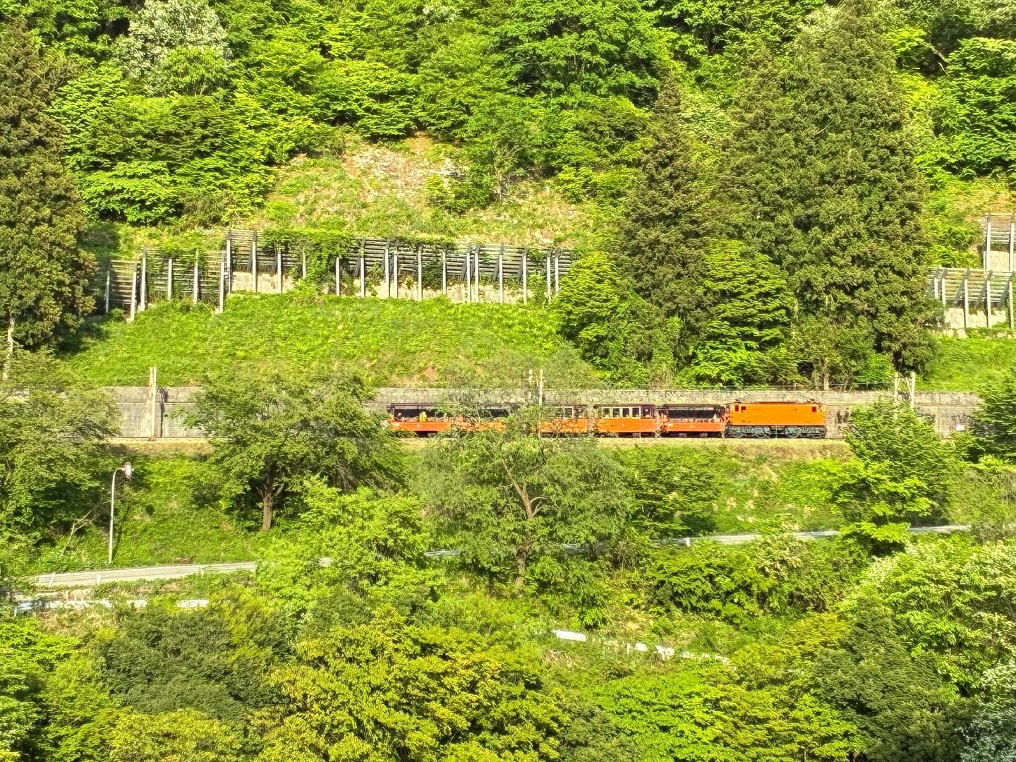 6E2F6596-1E57-4066-BBD8-F5802B100B67.jpeg