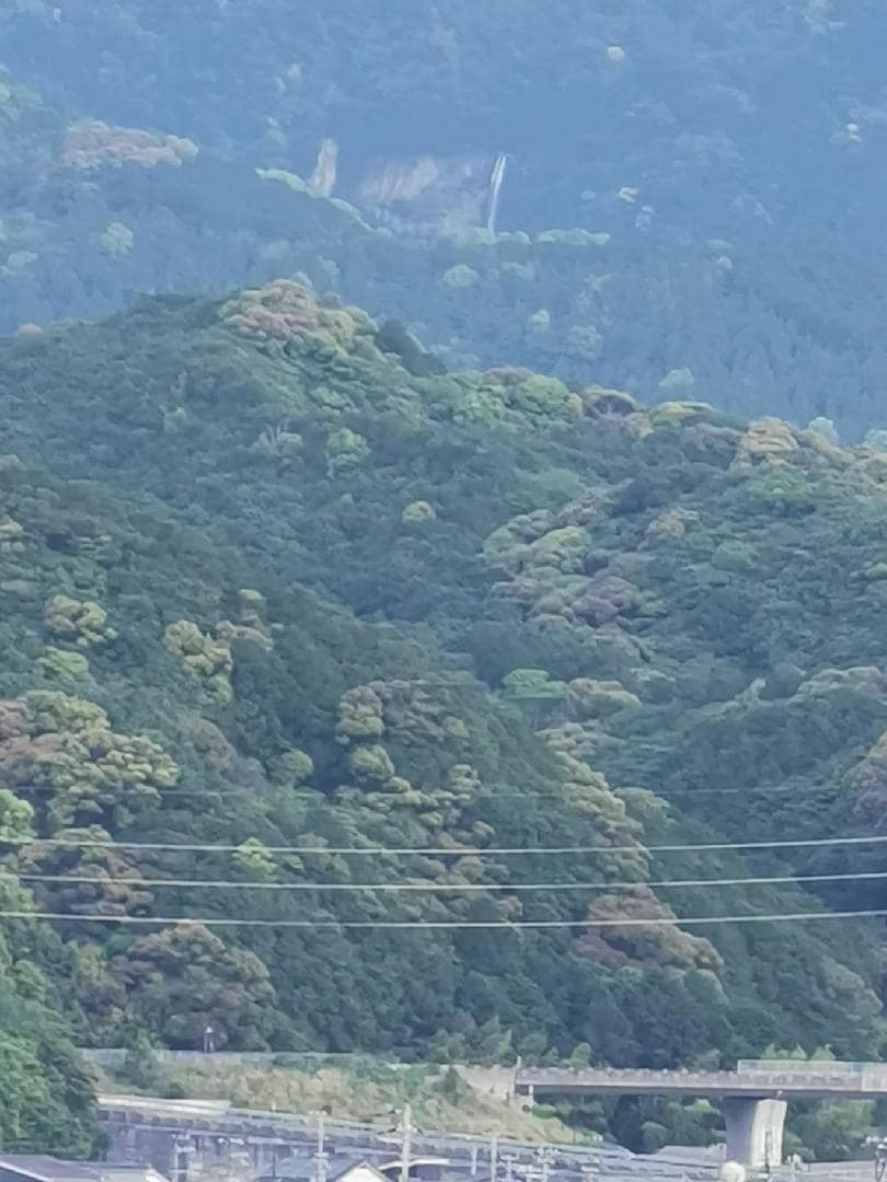 証拠写真.jpg