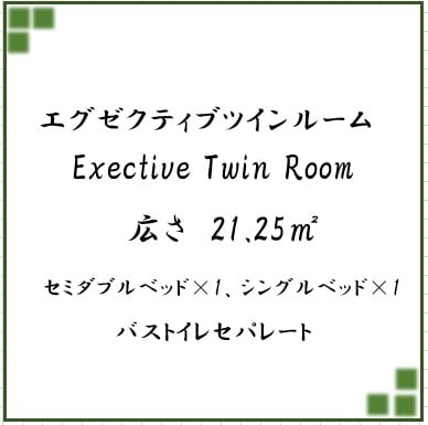Executive Twin Room