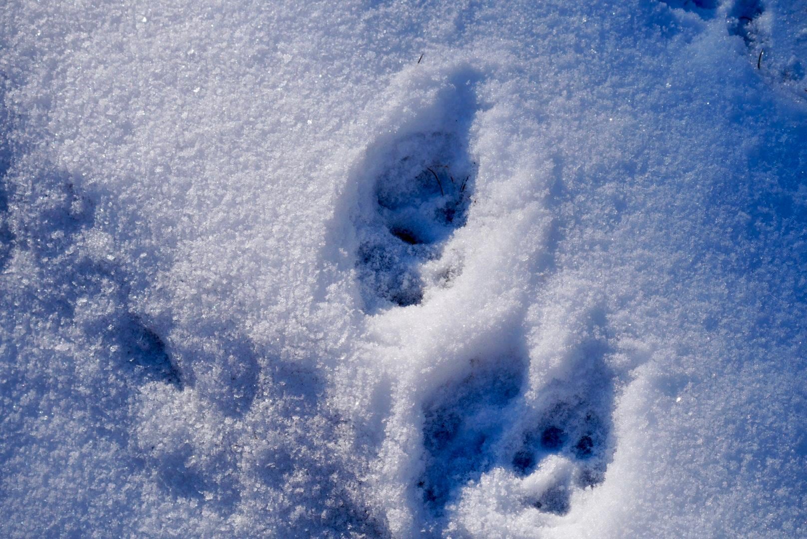 写真 2025-12-28 9 06 37.jpg