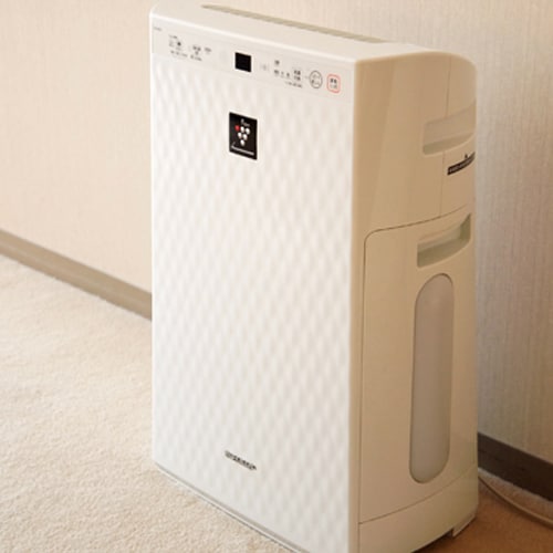 An example of a room air purifier