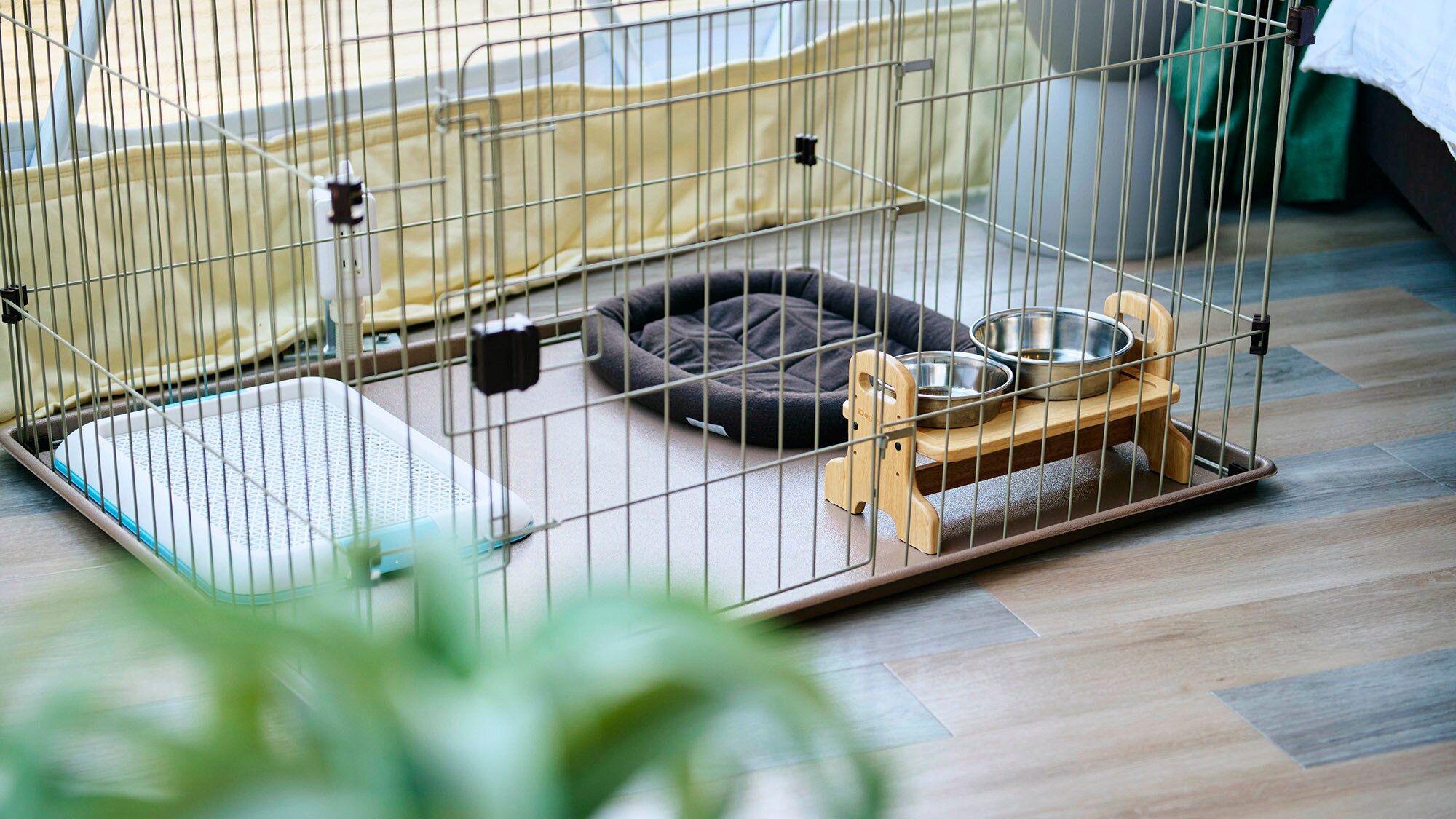 狗狗圆顶屋（允许带狗进入）