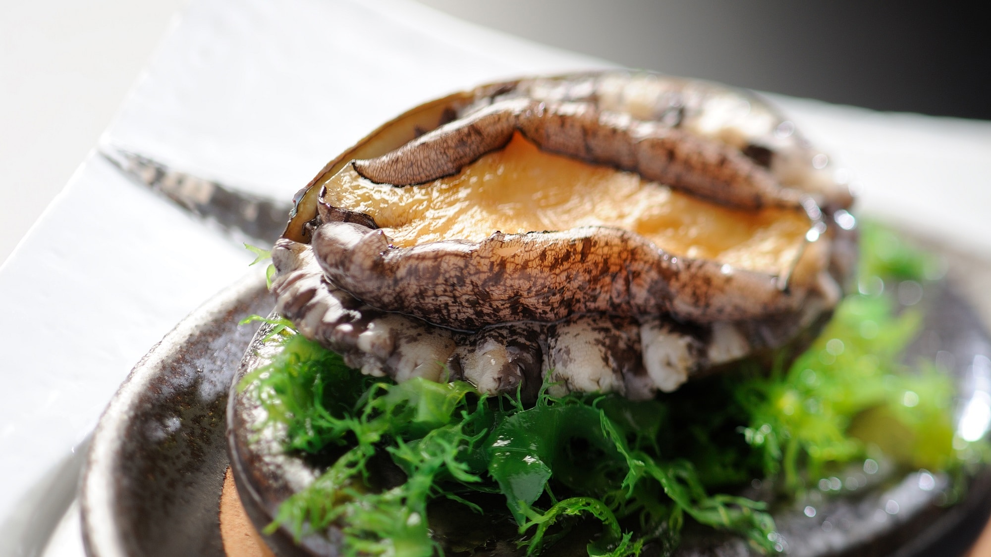 Contoh utama makan malam: abalone dance grill