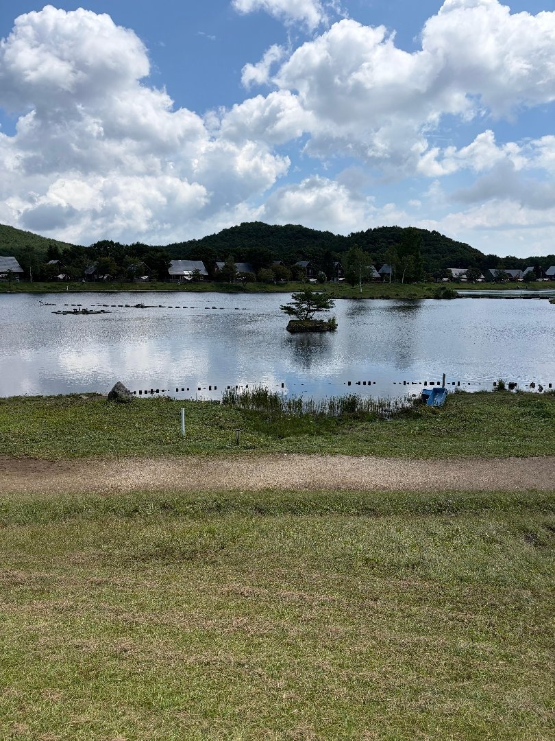 IMG_1931.jpeg