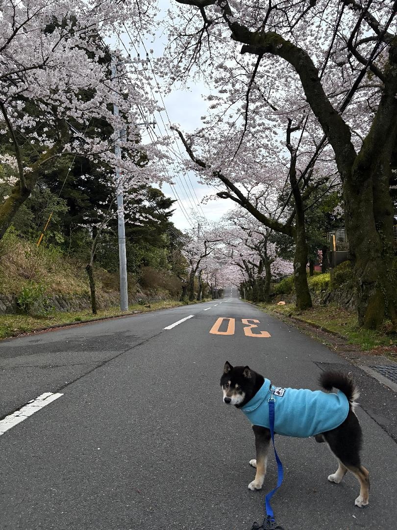 DBA21D7E-8F77-463C-ACAA-426A22B5EA65.jpeg