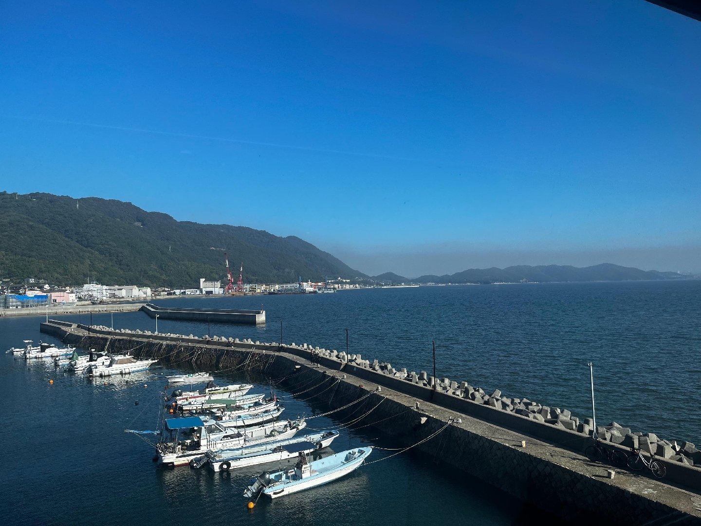IMG_0490.jpeg