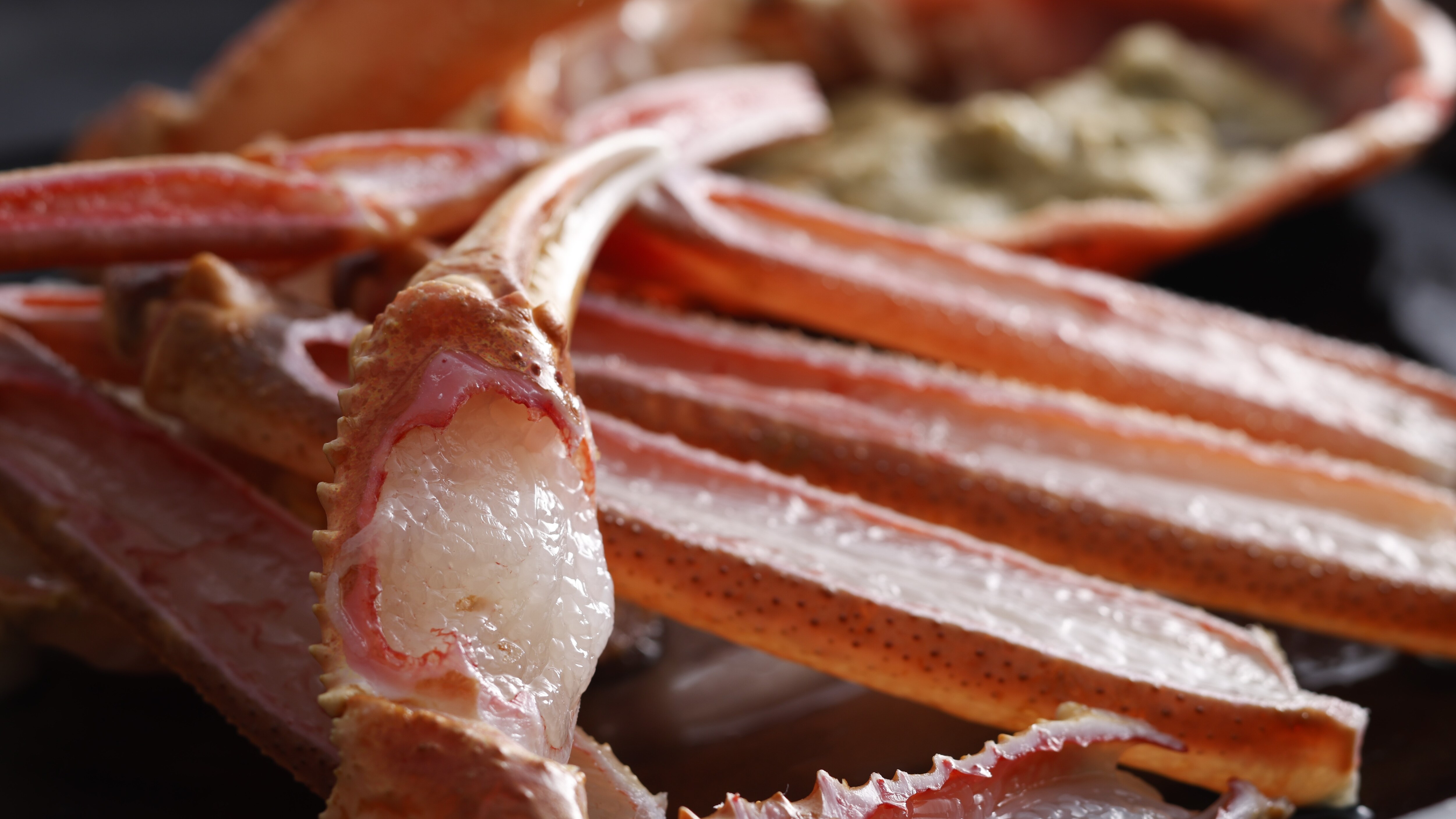 [Winter Cuisine] The king of winter delicacies, live Matsuba crab, is in a class of its own!