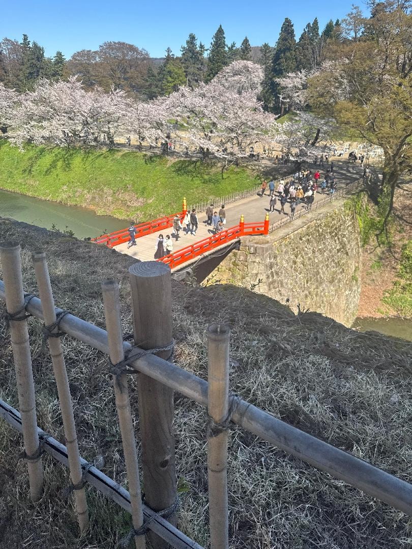 profile