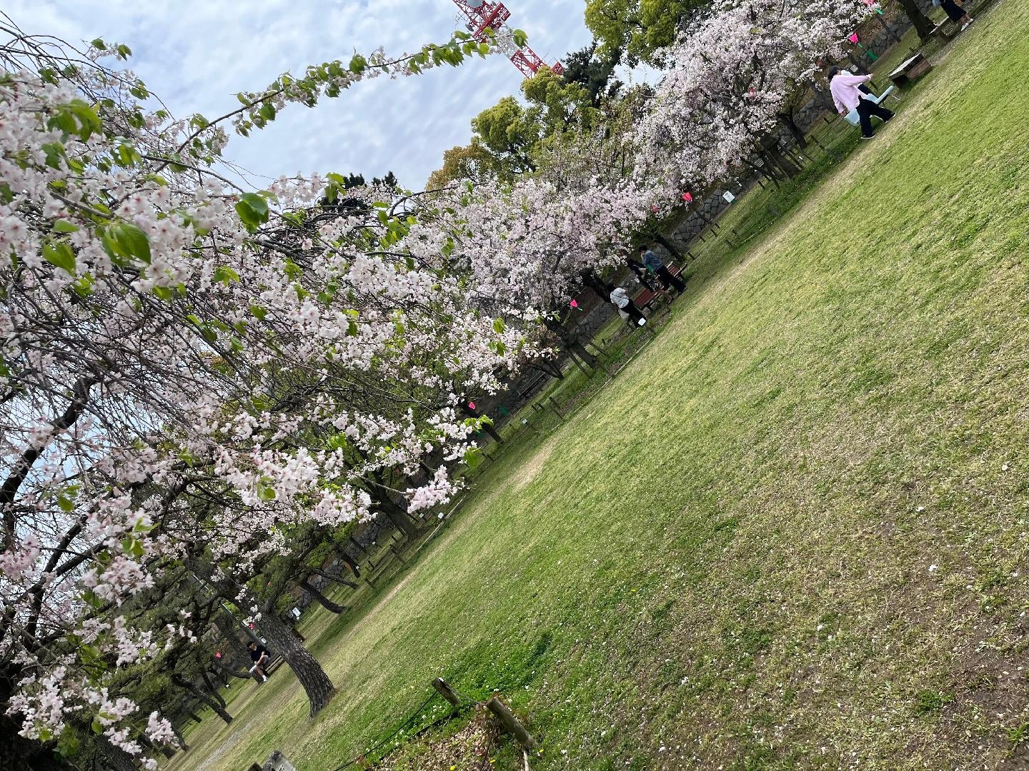 IMG_1161.jpeg