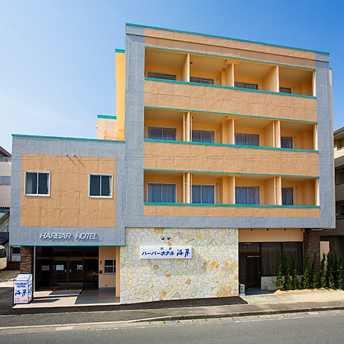 Appearance image
